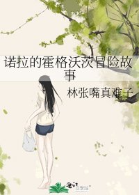 諾拉的霍格沃茨冒險故事