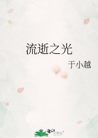 《流逝之光》