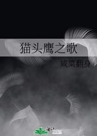 猫头鹰之歌