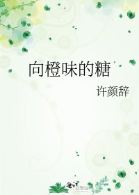 《向橙味的糖》
