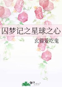 囚梦记之星球之心