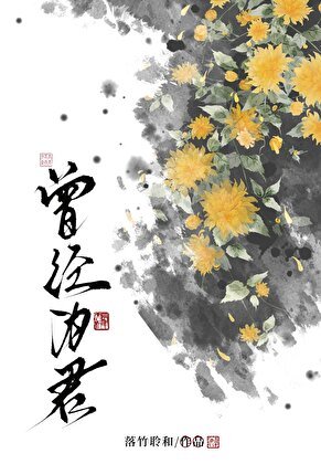 曾經為君
