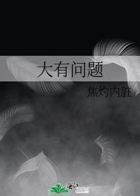 大有问题