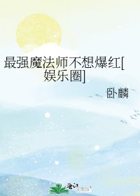最强魔法师不想爆红