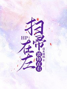 《(HP同人)HP:掃帚在左,波特在右》