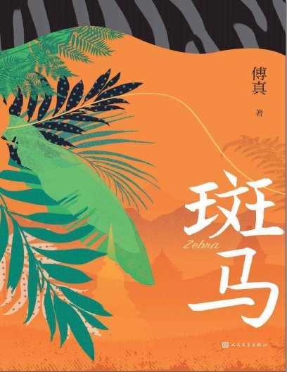 斑马(出版书)