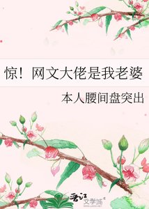 惊!网文大佬是我老婆