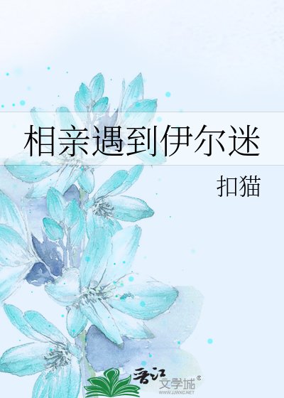 (BG-猎人同人)相亲遇到伊尔迷