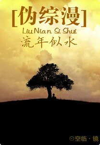《(偽綜漫同人)流年似水》