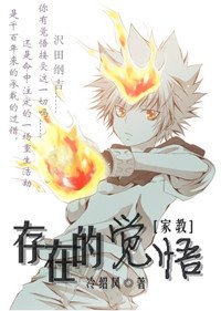 (家教同人)存在的觉悟
