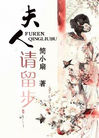 夫人,请留步