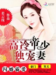 闪婚霸爱:高冷帝少独宠妻