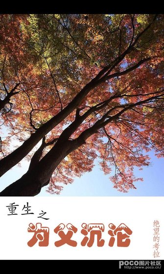 《重生之為父沉淪》