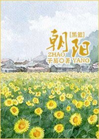 (BG/黑篮同人)朝阳